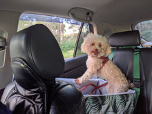 Load image into Gallery viewer, Tropical Booster