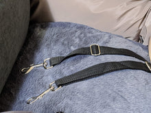 Load image into Gallery viewer, Perrouno Extra (special edition)