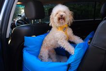 Load image into Gallery viewer, The Athlete