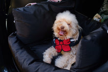 Load image into Gallery viewer, Stripes - Black