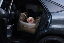 Load image into Gallery viewer, The Adventurer