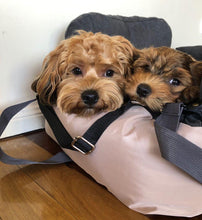 Load image into Gallery viewer, Perrouno Extra (special edition)