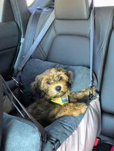 Load image into Gallery viewer, Perrouno Extra (special edition)