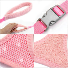 Load image into Gallery viewer, La Rue St 3-in1 harness with leash and storage pouch