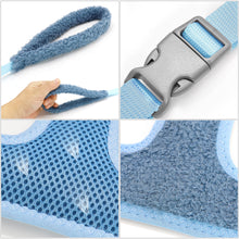 Load image into Gallery viewer, La Rue St 3-in1 harness with leash and storage pouch